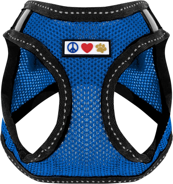 Pawtitas Dog Vest Harness, Breathable Air Mesh, All Weather Vest for Small Puppies and Large Cats, Blue Mesh