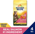 Nature's Recipe Grain Free Salmon, Sweet Potato & Pumpkin Dry Dog Food, 4 lb. Bag