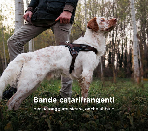 MyFamily Made in Italy Polyester Dog Bib, Your Dog's Master Data Always with You, Smartphone Connection with NFC