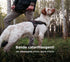 MyFamily Made in Italy Polyester Dog Bib, Your Dog's Master Data Always with You, Smartphone Connection with NFC