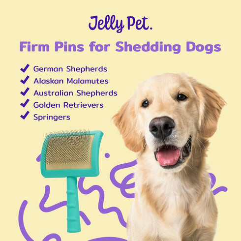 Jelly Pet Universal Slicker Brush for Dogs, Dog Grooming Brush, Remove Tangles and Dead Undercoat, Tuffer Than Tangles