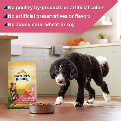 Nature's Recipe Grain Free Salmon, Sweet Potato & Pumpkin Dry Dog Food, 4 lb. Bag