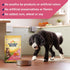 Nature's Recipe Grain Free Salmon, Sweet Potato & Pumpkin Dry Dog Food, 4 lb. Bag