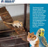Prevue Pet Toy NAT Wonder Walk Bird Ladder, Large (62809), Brown