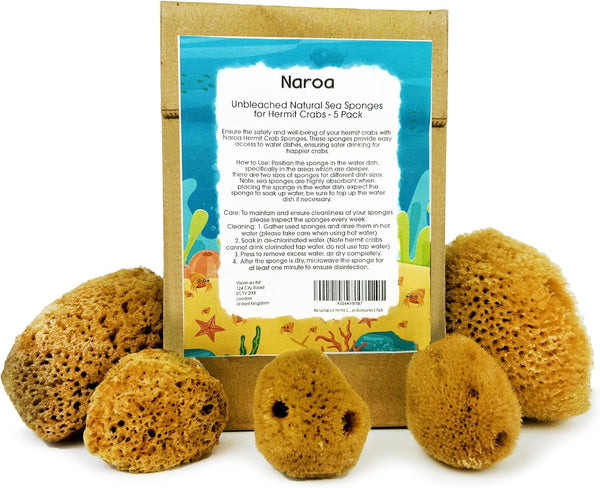 Natural Hermit Crab Sponges, 5 Pack Unbleached Sea Sponge for Water Drinking Safety and Humidity Balance