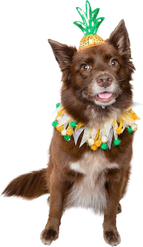 Pet Krewe Pineapple Hat and Collar, Fits Small, Medium, Large, Extra Large Dogs - Perfect for Halloween, Parties, Gifts