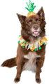 Pet Krewe Pineapple Hat and Collar, Fits Small, Medium, Large, Extra Large Dogs - Perfect for Halloween, Parties, Gifts