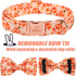 Fall Boy Dog Collar - Orange Maple Leafs Rugby Bow Tie Collar with Safety Metal Buckle for Small, Medium, Large Dogs