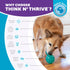 Outward Hound Double-Tuff Interactive Treat Stuffer Dog Chew Toy, Durable Medium Dog Toy, Blue