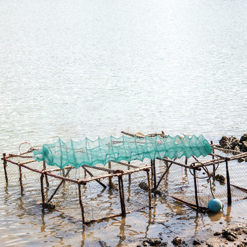 2.5m OSALADI Multi-Segment Shrimp and Crab Trap Net Cage Fishing Bait Catch Net for Outdoor Crayfish Lobster Fishing