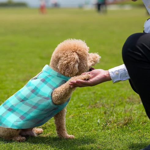4 Pieces Winter Fabric Dog Sweater with Leash Ring, Fleece Vest Pullover Jacket for Small Dogs and Cats