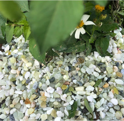3lb Pebbles,1/4 Inch Jade Bean Cactus Bonsai DIY Rocks, Natural Succulent Rock and River Rocks Decorative
