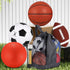 4 Set Deekin Pcs Sport Balls for Kids Teens, Include Official Size Basketball Soccer Football Playground Ball and Pump