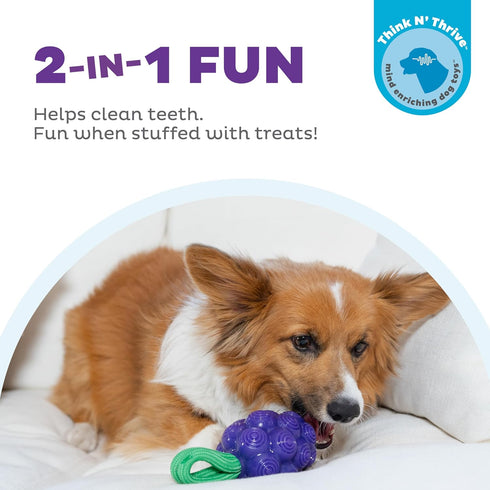 Outward Hound Dental Grapes Dental Chew Toy and Interactive Treat Stuffer Durable Dog Toy Stuffable Dog Toy, Medium, Purple