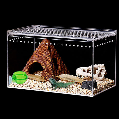 AUEAR 2 Pack Reptiles Suction Cup Feeder - Chameleon Feeding Bowl Water Dish Gecko Ledge Supplies for Lizards