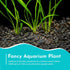 6 Pack Jungle Valisnaria Spiralis - Bare Root : Live Aquarium Plants for Healthy Aquatic Ecosystems, Excellent