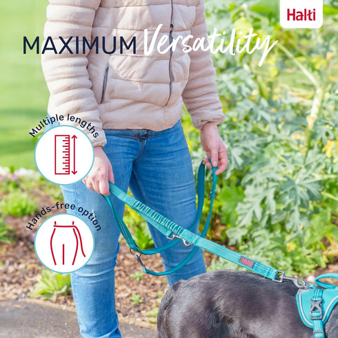 HALTI Anatomy Multifunctional Dog Leash - Shock Absorbing Double-Ended Leash, Ideal for Walking & Training, Size Small,