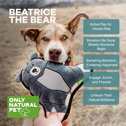 Only Natural Pet Mountain Friends Recycled Plush Dog Toys - Beatrice The Bear, 9" x 9.5", Durable Double-Stitched