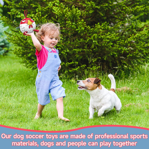 Dog Toys Soccer Ball with Straps, Durable Beach Pool Toy for Extra Small Dogs, Puppy Birthday Gifts