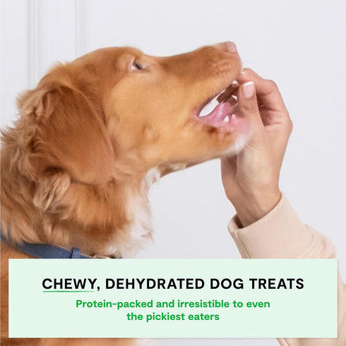 Open Farm Dehydrated Grain-Free Pork Treats | 4.5 Ounces
