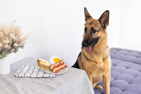 Set 3, Set, Set, Pearhead Barkfast Dog Toys, of Plush Pet Squeaker Toys, Breakfast Dog Toy Toast Bacon & Egg Toy Must