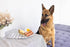Set 3, Set, Set, Pearhead Barkfast Dog Toys, of Plush Pet Squeaker Toys, Breakfast Dog Toy Toast Bacon & Egg Toy Must