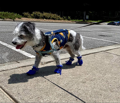 YAODHAOD Dog Shoes for Hot Pavement, Anti-Slip Sole Dog Boots & Paw Protector for Small Medium Dogs, 4PCS (Blue, Size: