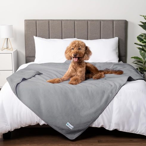 40x60 PetAmi Waterproof Dog & Cat Blanket, Pee Proof for Couch, Reversible, Soft Fleece, Washable, Light Gray
