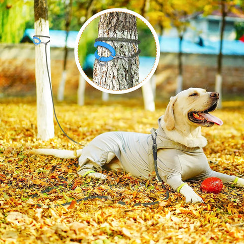 NTR Heavy Duty Large Dog Leash, 30FT Reflective Long Leash with 2 Swivel Hooks and Comfortable Padded Handle