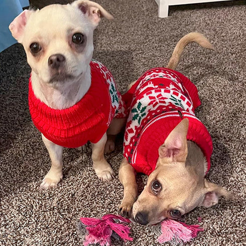 KYEESE Christmas Dog Sweater for Small Dogs - Snowflake Reindeer Design with Leash Hole, Ugly Holiday Sweater, M
