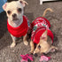 KYEESE Christmas Dog Sweater for Small Dogs - Snowflake Reindeer Design with Leash Hole, Ugly Holiday Sweater, M