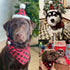 ADOGGYGO Christmas Dog Bandana Hat Bow Tie Set, Classic Red Plaid Pet Xmas Costume Outfit for Medium Large Dogs