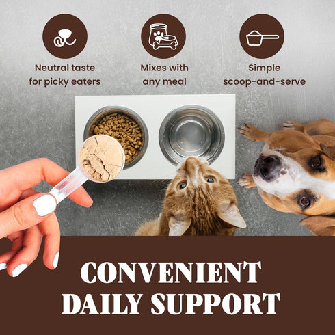 Immune 60 Organic Turkey Tail Mushroom for Dogs and Cats, Support with Beta Glucans and Polysaccharides, Digestive