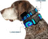 Buckle-Down Plastic Clip Collar, Tie Dye Swirl Purples/Blues, 1" Wide, Fits 15-26" Neck