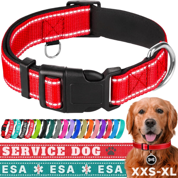 TECEUM Reflective Pet Collar – Red – XS – Extra Soft Padding – Basic Nylon Dog Collar – Quick Release Buckle – Fits