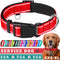 TECEUM Reflective Pet Collar – Basic Nylon Dog Collar – Quick Release Buckle – Red – M – Fits Small, Medium and Large
