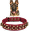 Spiked Leather Dog Collar with Bullet Rivets, Soft Adjustable Collar for Small Medium Large Dogs, Red, L.