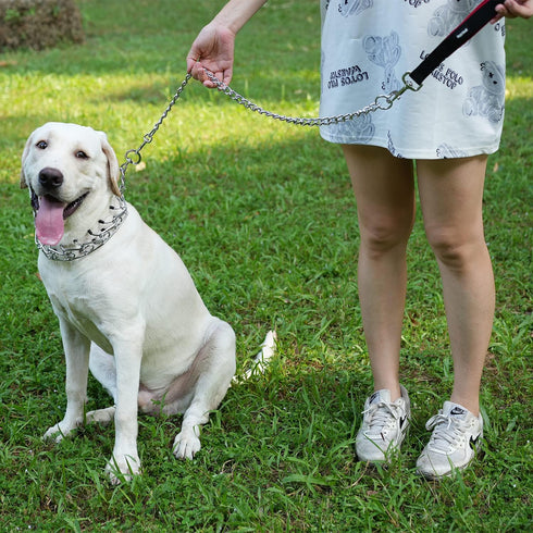 Pettom Heavy Duty Dog Chain Leash, Metal Lead with Padded Handle for Medium Large Dogs (6'/2.0mm Small Chain, Black)