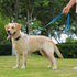 Waterproof Dog Collar, Easy to Clean Rubber with Quick Release Buckle for Small Medium Large Dogs (Blue, L < 15.4-24.8