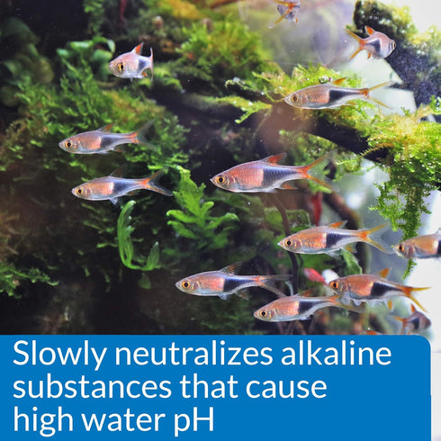 4-Ounce API pH DOWN Freshwater Aquarium Water pH Reducing Solution Bottle