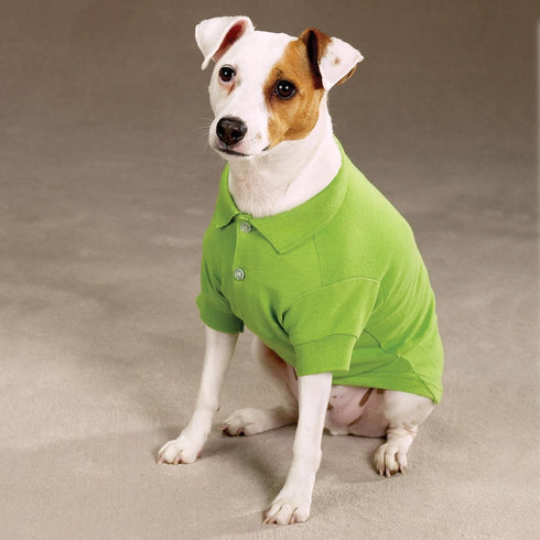 Zack & Zoey Cotton Polo Shirt for Dogs, Parrot Green, 12" Small
