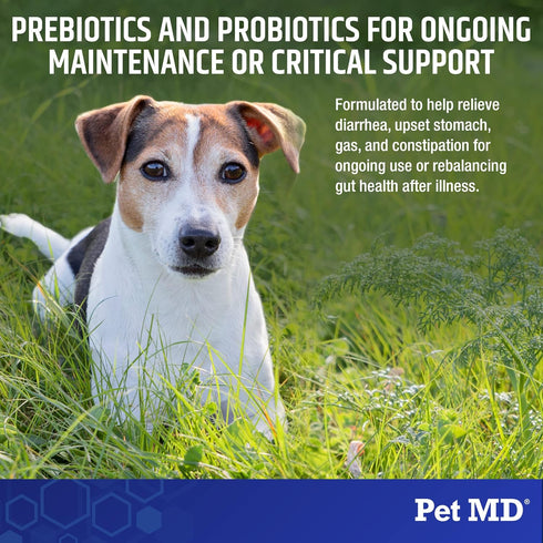 Pet MD Biotic Probiotics for Dogs & Cats - Prebiotic, Fiber, & Probiotic Powder - Gas, Constipation Relief, & Anti Diarrhea - Balance Digestive Flora & Restore Gut Health for Dogs & Cats - 2.12 oz