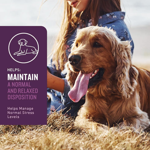 VetIQ Calming Support Supplement for Dogs, Calming Chews for Stress Relief, Made in The USA, 60 Count