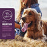 VetIQ Calming Support Supplement for Dogs, Calming Chews for Stress Relief, Made in The USA, 60 Count