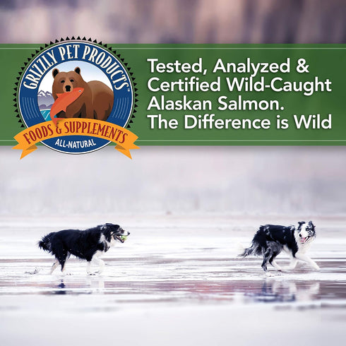 Grizzly Algal Plus Omega Fatty Acids Supplement for Dogs & Cats - 8 Fl Oz - Vegan, Plant-Sourced Algal Oil Omega 3-6-9