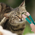 POPETPOP Cat Dog Tear Stain Remover: 2pcs Mini Grooming Comb Brush for Dogs Cats, Multifunctional Eye Comb for Removing