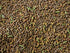 AQUATICBLENDEDFOODS Super Freshwater Shrimp Food,Calcium,Spirulina,Crayfish & Snail Mix,Cherry Shrimp,Bottom Feeders- A109 (Veggie &