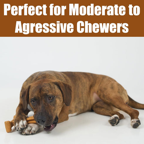 SPOT 60lbs, 6in, Bam-Bones Plus T Bone - Bamboo Fiber & Nylon, Durable Long Lasting Dog Chew for Aggressive Chewers Toy