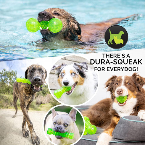 2.5 Inch Hyper Pet DuraSqueak Dog Ball Toy, Interactive Dog Toys that Float and Squeaks for Playing, Fetching
