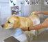 Sea Sponges for Dogs, Luxury Canine Bath Care for Pet Grooming